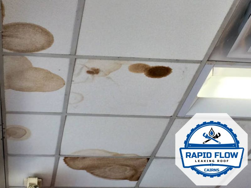 roof leak detection thermal imaging cairns